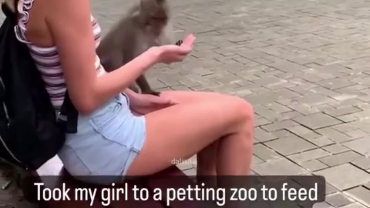 Funny moments