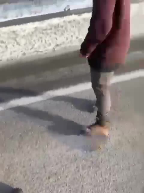 apparently designed to slow down the Freedom Convoy.