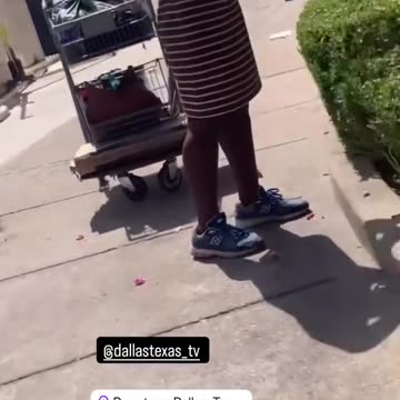 BUT THEY ARE NOT EATING BIRDS 👿