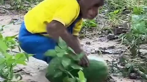 MONKEY having fun with DOG