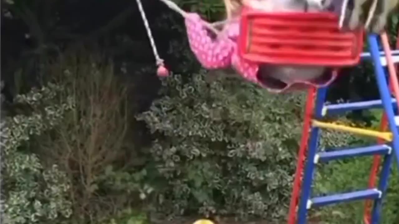 Funny videos cat and dog funny 😂🤣🤣🤣🤣🤣😂😂😂