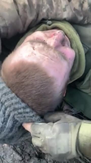 Its OK Vadik, Your Going to Survive