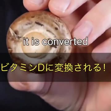 ビタミンDを効率よく接種するためには？