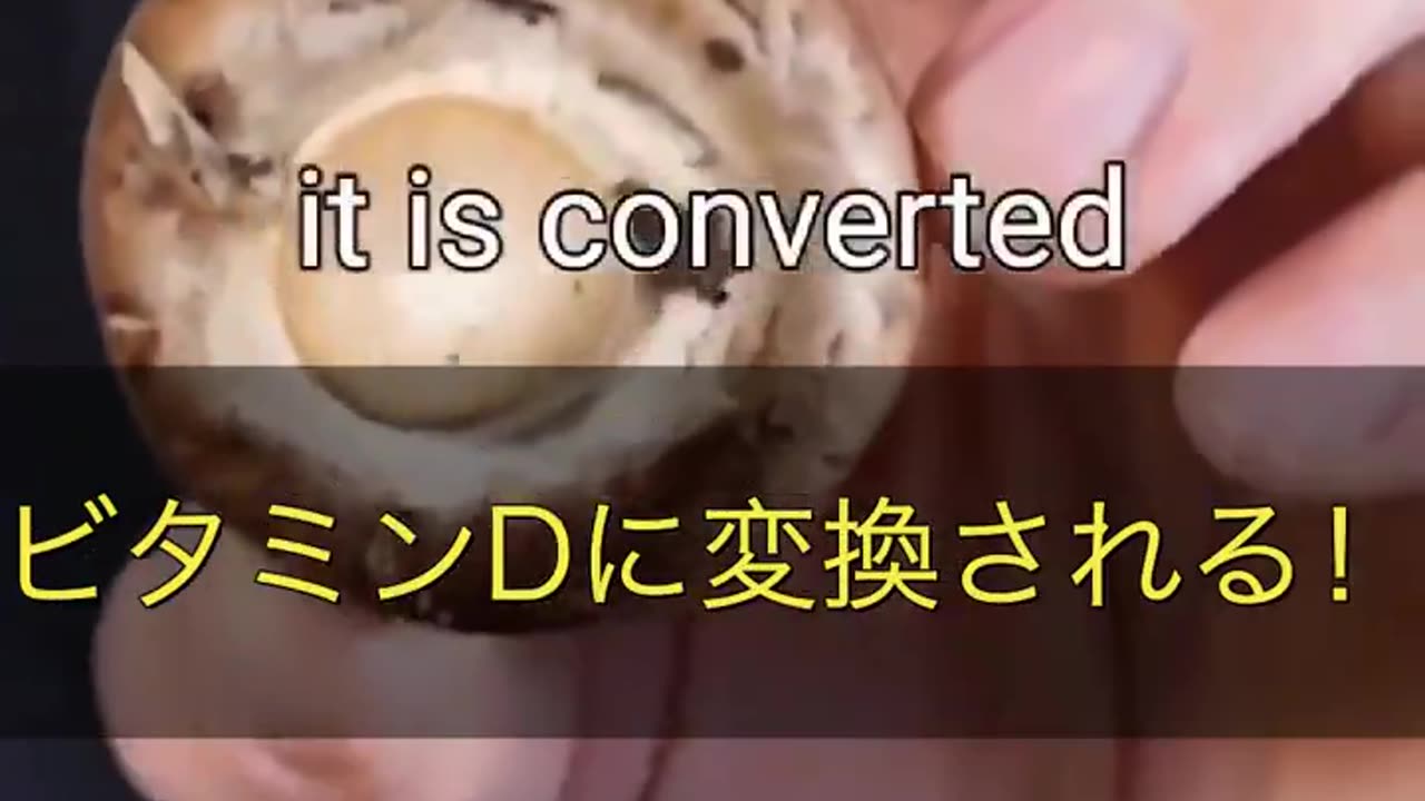 ビタミンDを効率よく接種するためには?