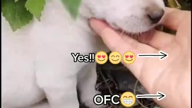 Do you want to be my friends