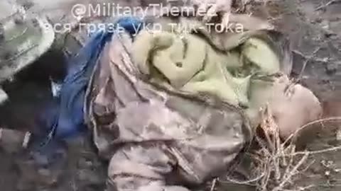 War in ukraine