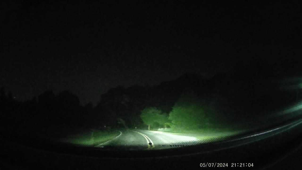 Deer in road