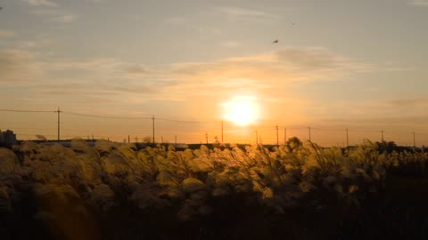 Sunset in the outback