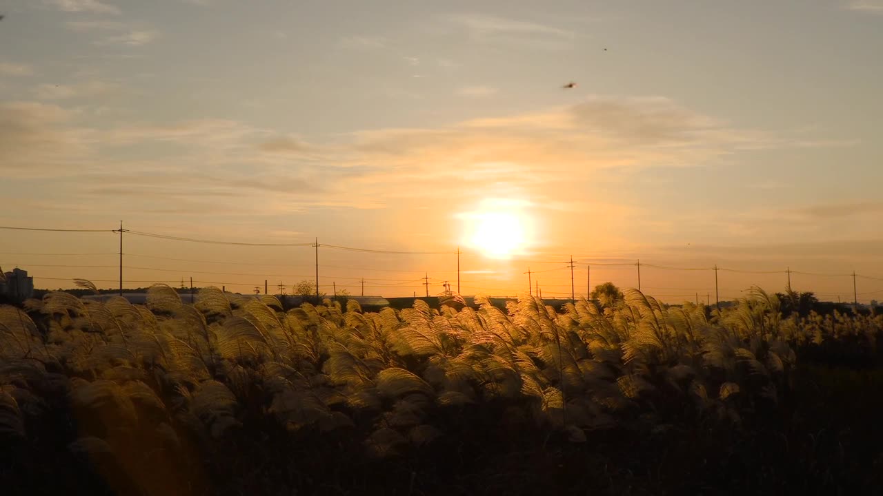Sunset in the outback
