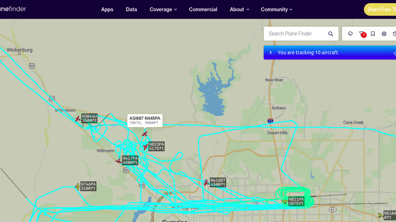 Bird Acquisition Bird Mafia once again, Pounces on US60 - waymo style - like arrogant in ur face