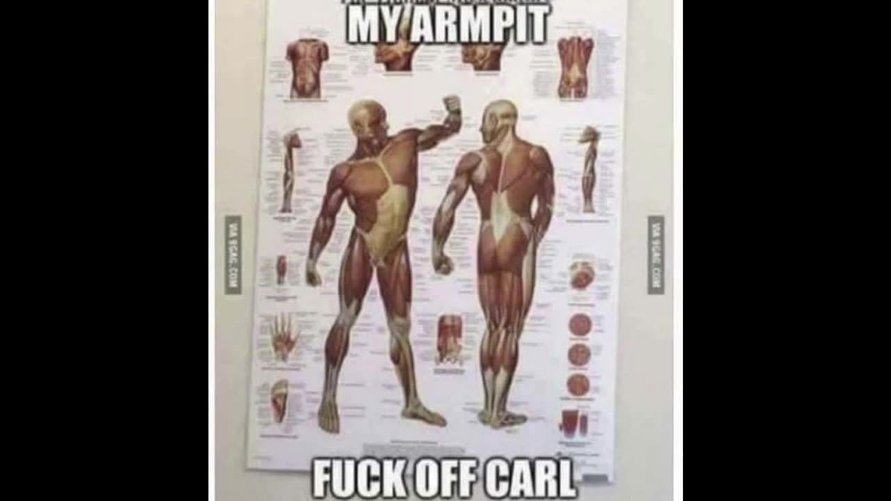 Random Memes 408