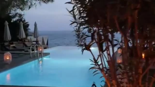 an evening in the jungle