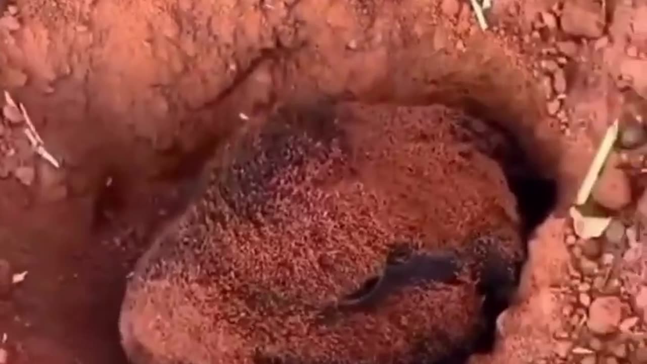 Fastest bath in the world