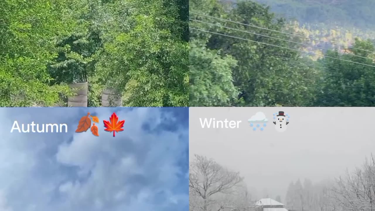 Nature's beauty