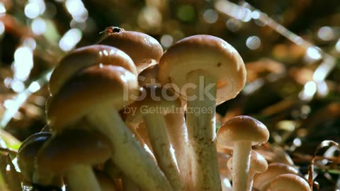 Stock photos