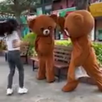 Naughty bear try not to laugh 🤟🤪