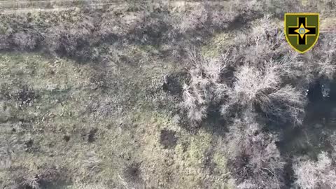 +18 Disturbing Video showing dead and wounded