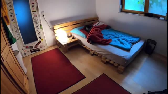 You won't believe what this dog does after his owner leaves🤭