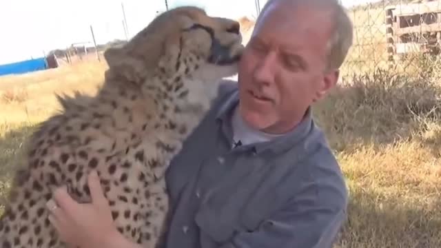 These animals don't forget their owners