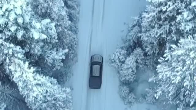 Snowy Road