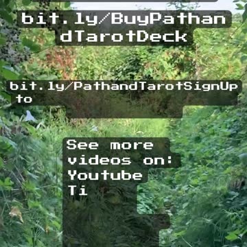 All Roads Lead To Harmony – Tarot Reading