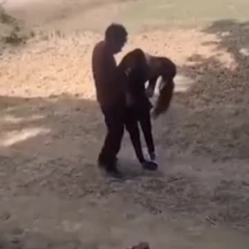 Οι "επενδυτές"