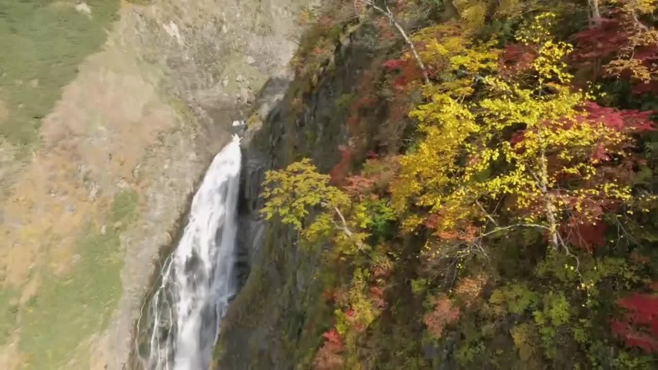 落差日本一 称名滝を彩る紅葉【JNN 紅葉ドローンDIG】｜TBS NEWS DIG