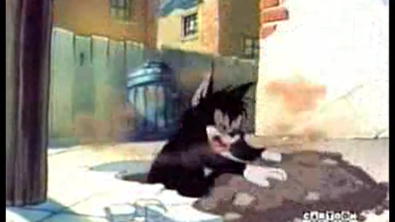 Tom and Jerry Cartoon Cousin Part 1