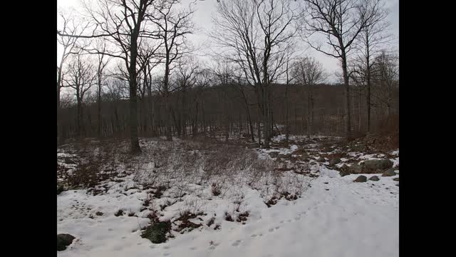 Steak at Dutch Doctor Shelter, Harrimon State Park, NY