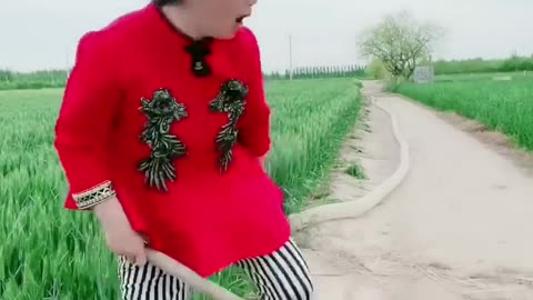 Chinese Funny clips daily #shorts