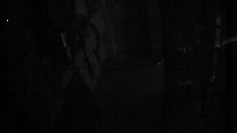 3143RHOBG4-15Treehouse_2021-01-05_01h20min01s690ms.mp4