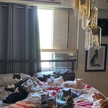 No family or kids but I have love in my heart