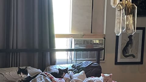 No family or kids but I have love in my heart