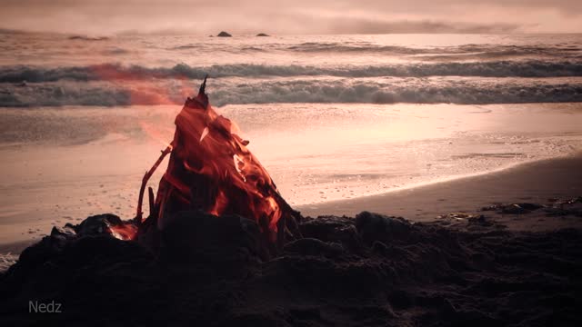 Relaxing firecamp on the beach