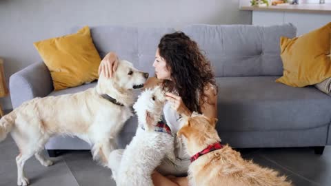 Woman with three pet dogs sitting on sofa indoors at home, resting