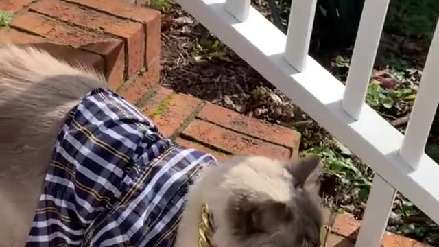 a molestar a los vecinos jajaja
