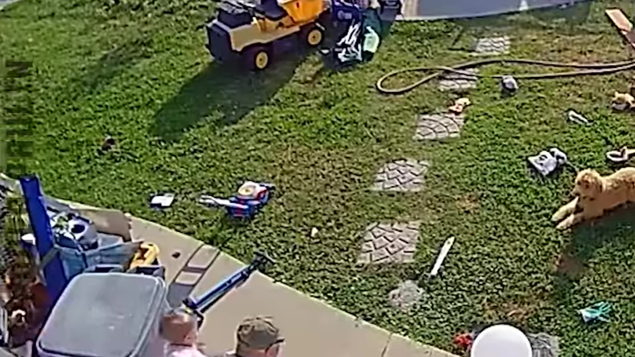 Dumb Or Just Unlucky