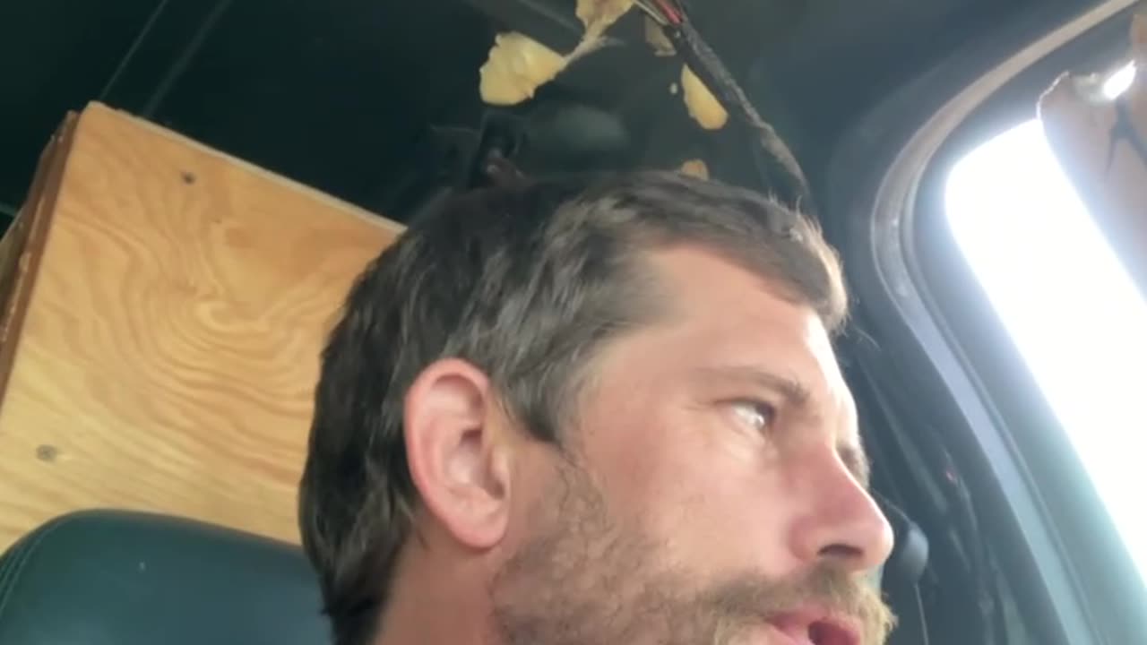 Wow spongebob is a child mover and storer