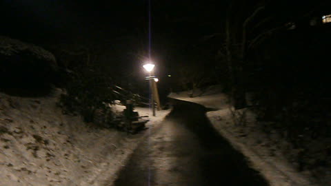 Vid Bergaliden, Helsingborg 16 Jan. 2013