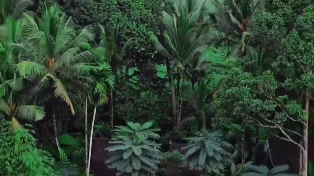 PRAMANA GIRI KUSUMA ~A Healing Sanctuary 〰️ . When we heal the earth