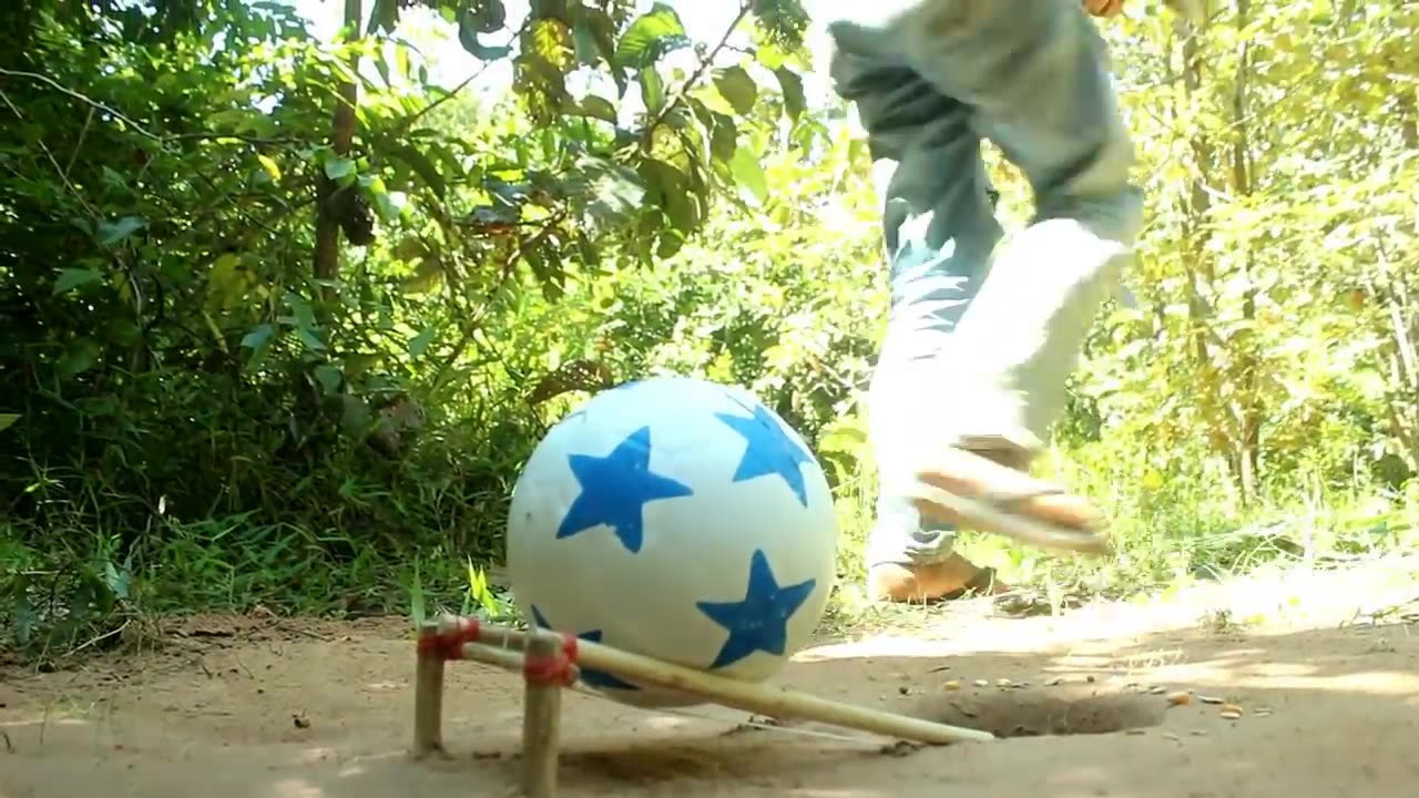 New Creative Unique Bird Trap Using Small Plastic Ball - Rolling Parrot Trap in Hole