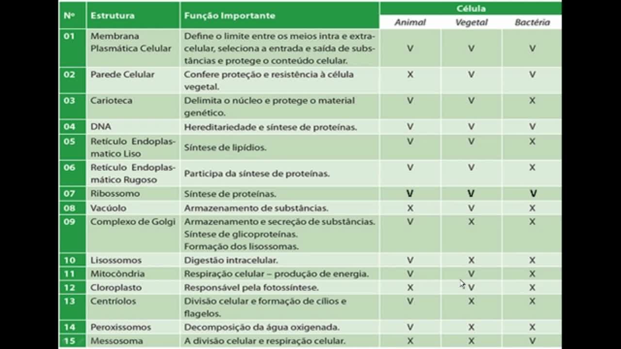 Citologia: Citoplasma parte I - MinhaEscolaWeb