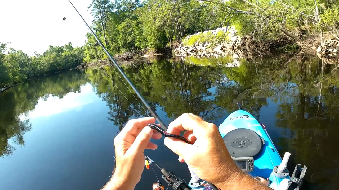 Waccamaw river in a kayak fishing