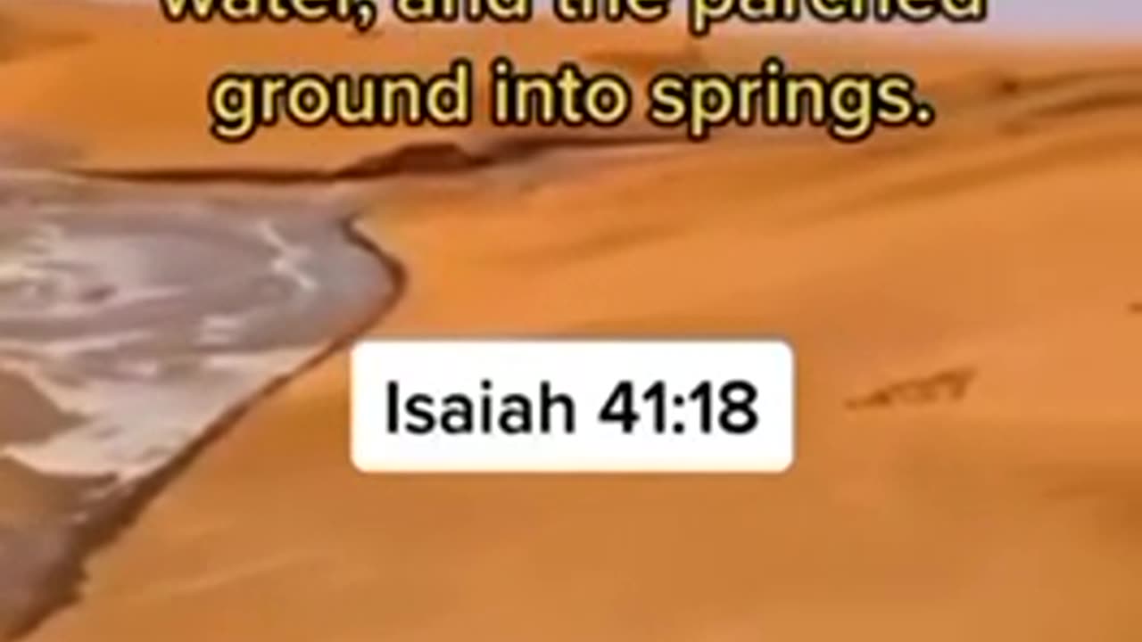 YET ANOTHER BIBLICAL🕊️ PROPHECY
