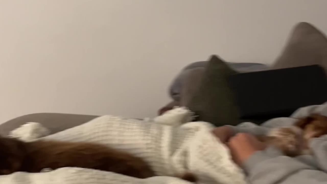 When Mom is superior