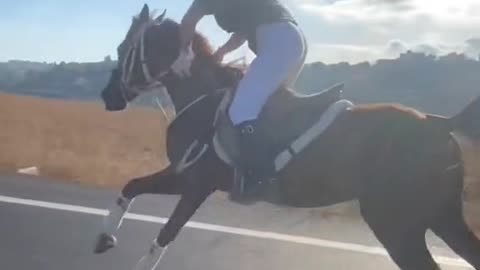 Horse Riding Practice