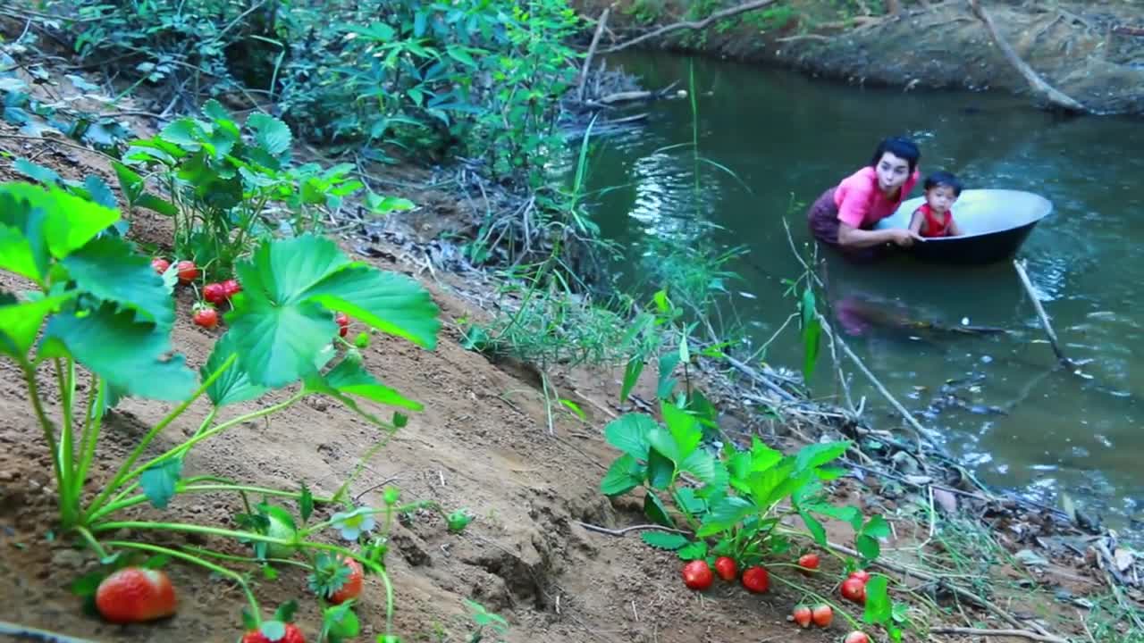 Wild Women - baby boy find pick Strawberry with mother by river - cooking food for dog-2