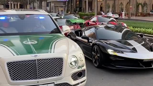 Dubai police