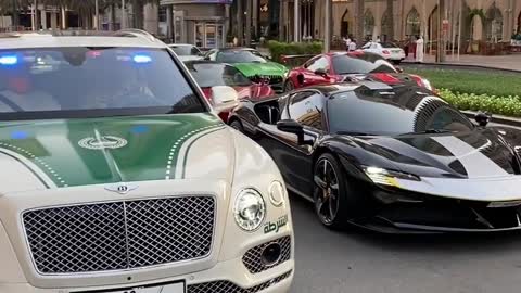 Dubai police