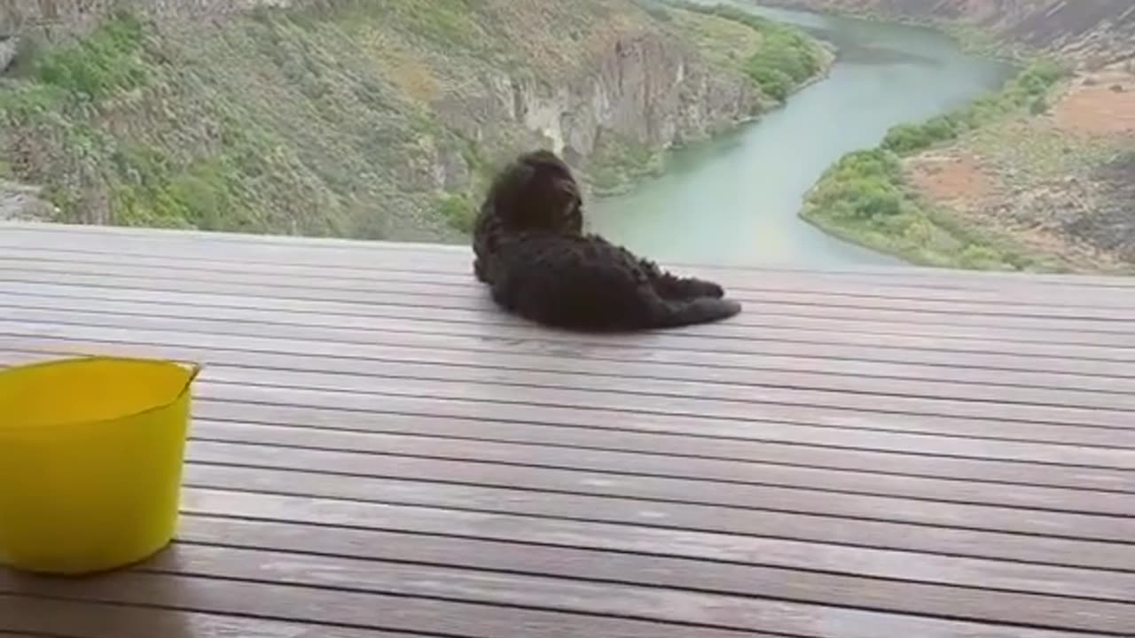 I’d do the same with that view 😧🌅